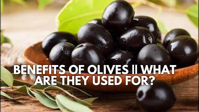 The benefits of Olives || What are Olives 