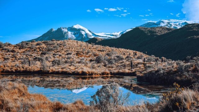 Corte ordenó al Gobierno recuperar el Parque Los Nevados