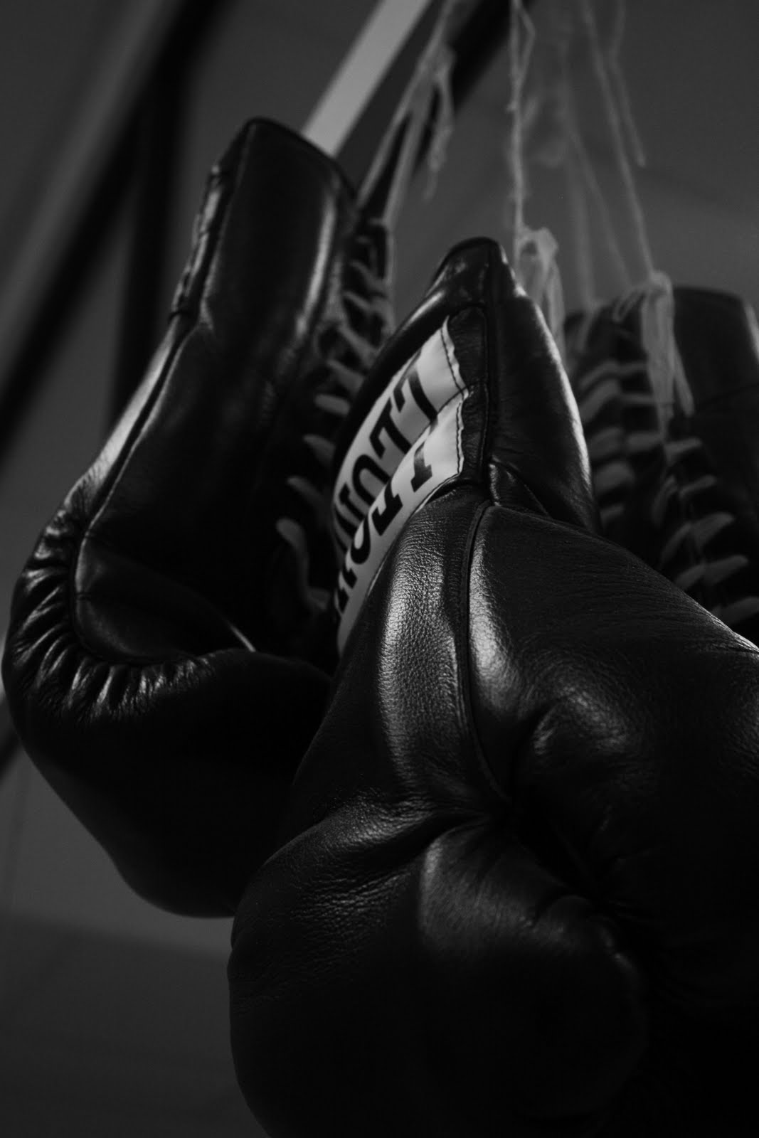 Kickboxing Screensaver