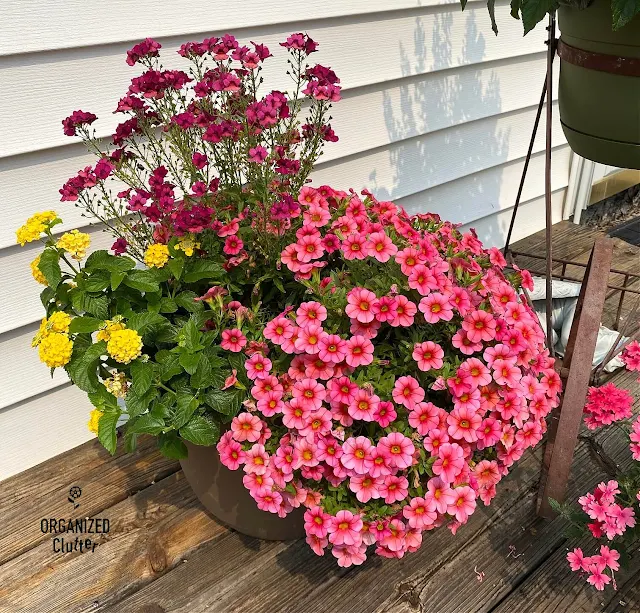 Photo of deck planters