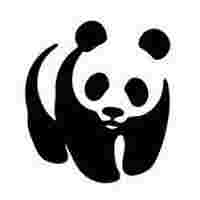  New Tender Opportunities at WWF Tanzania April 2024