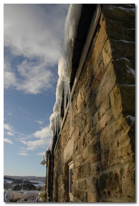 icicles in Donkleywood