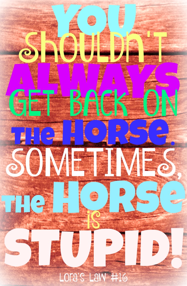 Get Back on the Horse Quote to Lora s Law 16 Pinterest