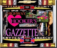 HIGHWAY HOOKERS DOMESTIC HEDDER