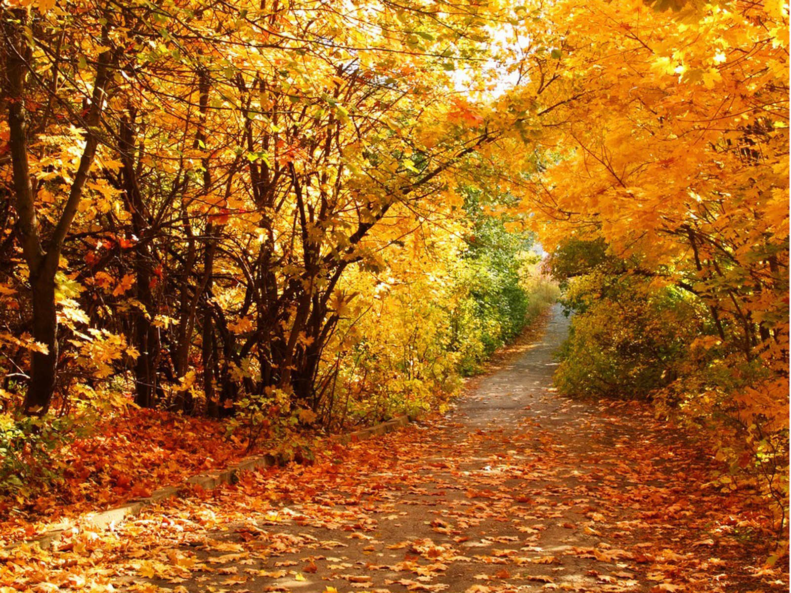 Scenery Desktop Wallpapers, Beautiful Autumn Scenery Desktop ...