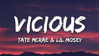 Vicious Lyrics - Tate McRae ft. Lil Mosey