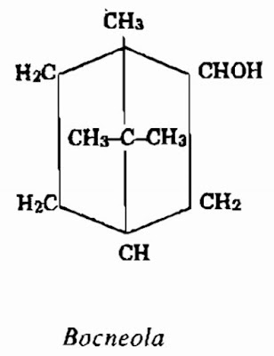 Thành phần hóa học Đại Bi (Long não hương) - Blumea balsamifera - Nguyên liệu làm thuốc Chữa Cảm Sốt