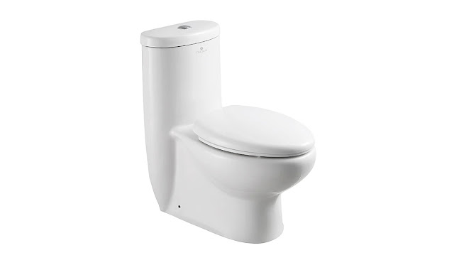 Single piece white toilet by Fresca with dual flush.