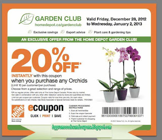 Free Printable Home Depot Coupons