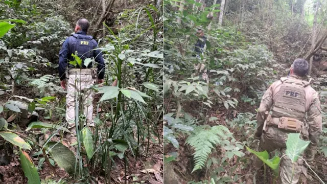O homem era foragido da Justiça do Ceará; prisão foi feita pela Polícia Rodoviária Federal na BR-116