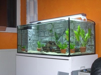 Aquarium DIY Lighting