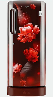 Lg fridge