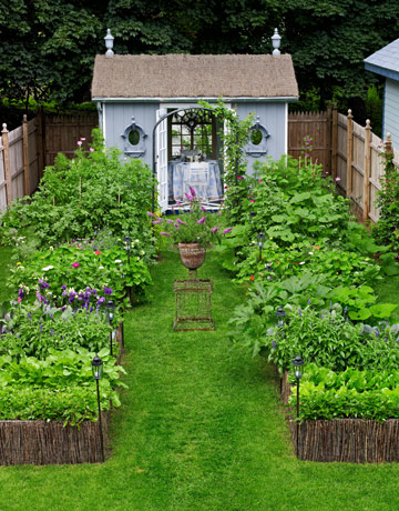 Backyard Vegetable Garden Design