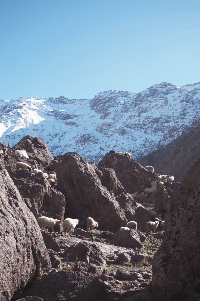 Randonnée dans le parc national du Toubkal au Maroc