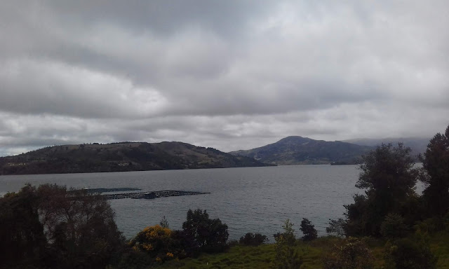 Lago Tota, Diario de una buena vecina, Doris Lessing, Sentirse solo, Amantes, Artículos, Mujeres solteras