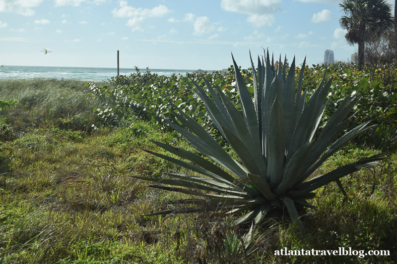 Miami Beach, FL