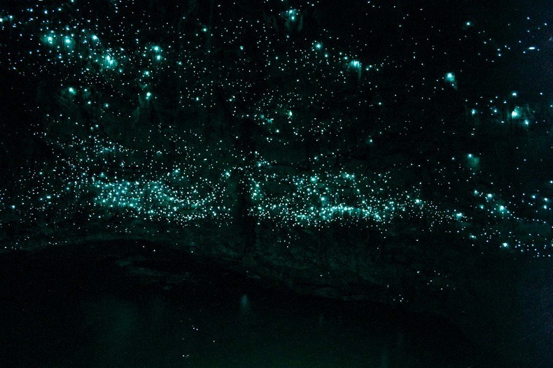 glowworm-caves-waitom-1