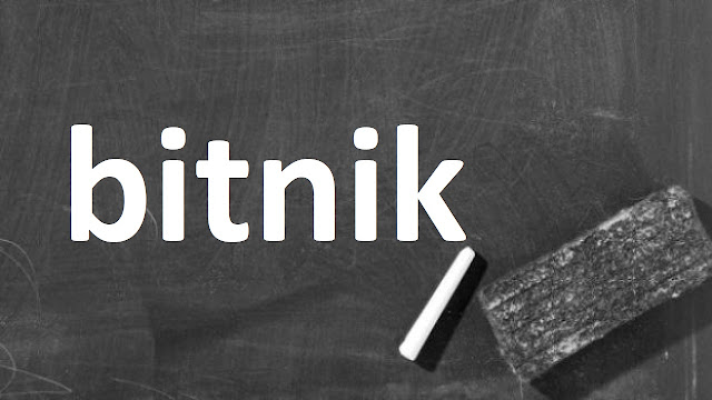 bitnik