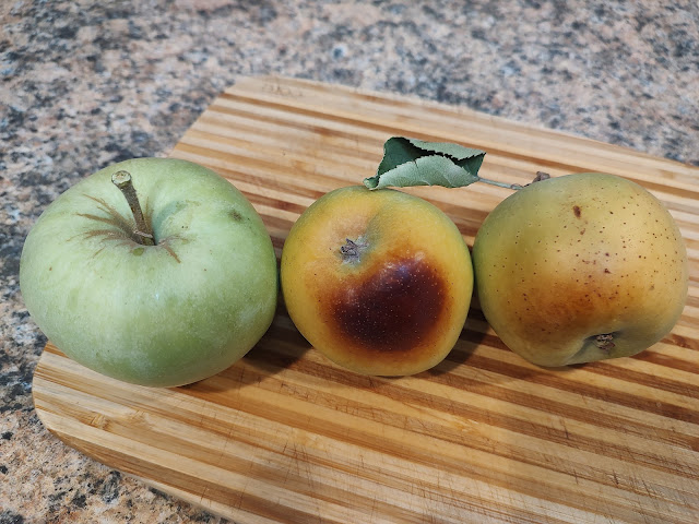 3 green apples on a counter