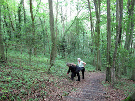 Climbing the steps in Twenty Acre Shaw on the side of Cudham Valley. Ups and Downs walk led by Ewa Prokop, 21 June 2011.