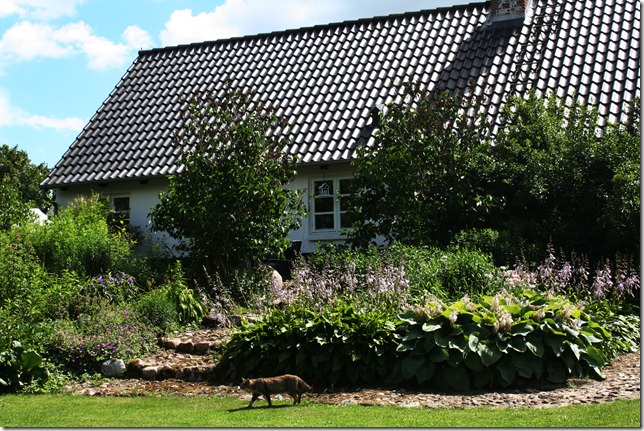 Danmark sommeren 2010 014