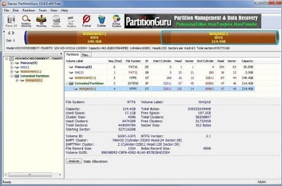 Download PartitionGuru Professional 4.9.1.334 Key