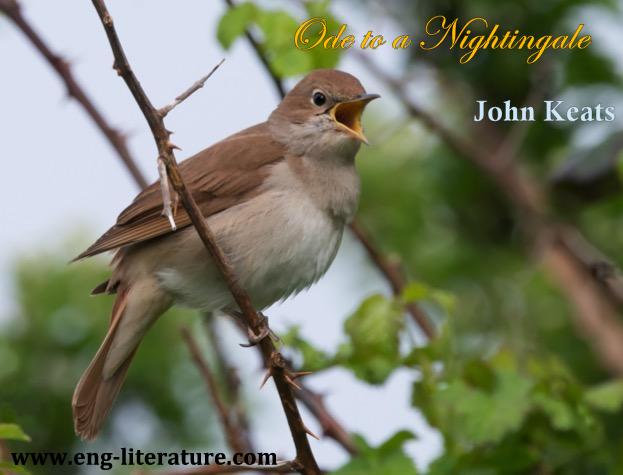 Is Keats' "Ode to a Nightingale" a poem of escape or a reflection of human experience? or How does Keats explore the capacity of the imagination to transcend reality in "Ode to a Nightingale"?