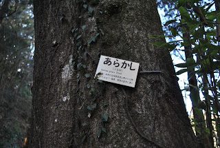 太古山清音寺