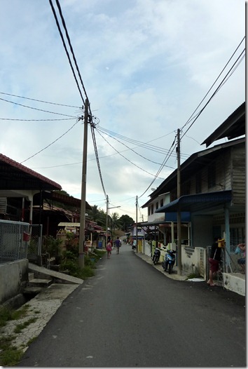 P1060452