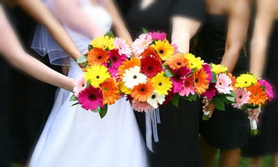 Daisy Wedding Bouquet