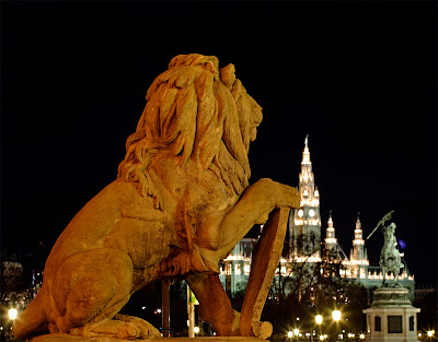 Vienna at night