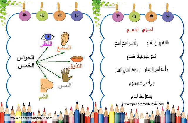 انشودة الحواس الخمس