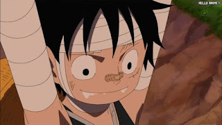 ワンピースアニメ 幼少期 495話 ルフィ かわいい Monkey D. Luffy | ONE PIECE Episode 495