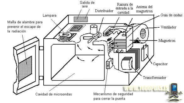Estructura y funcionamiento del microondas