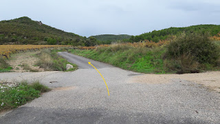 PR-C-224 La Bisbal del Penedès a Sant Magí de la Brufaganya, Camí de la Masia o Camí del Mas de la Riera al Pla de Manlleu