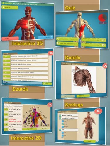 Easy Anatomy 3D v5.0 Apk Full İndir - Anatomy Öğrenme