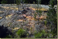 Bush Rocks