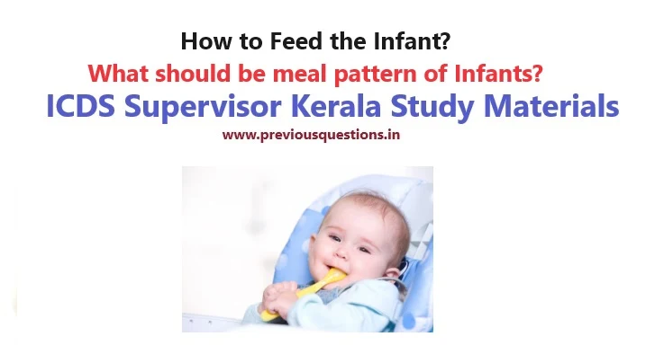 meal pattern- of-infant-how-to-feed-infant