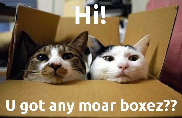 cats do like boxes