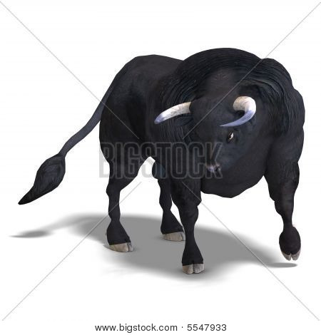 Animals Wallpapers: Dangerous Black Bull HD Wallpapers 2012