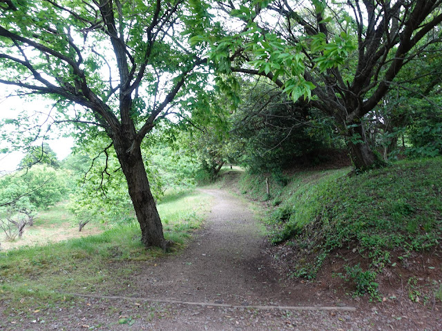 鳥取県米子市淀江町福岡　伯耆古代の丘公園