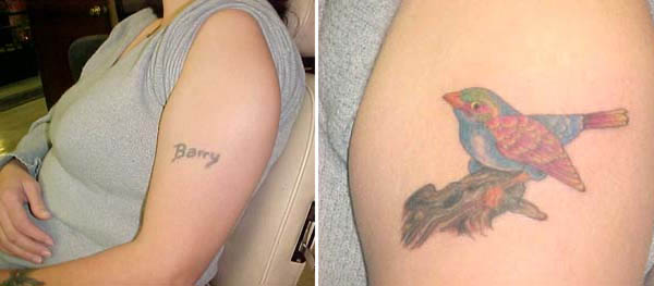 This is actually a pretty good cover up, using the details in the branch to 