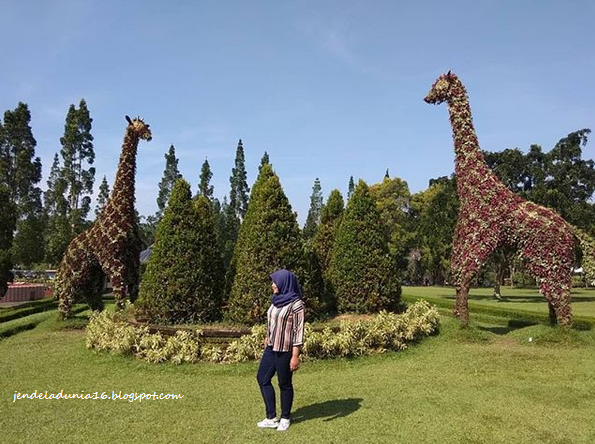 [http://FindWisata.blogspot.com] Ini dia, Daripada Pusing Mikirin Kerjaan, Yuk Kita Piknik Berlibur Ke Taman Bunga Nusantara