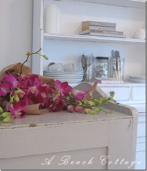 Sarah cabinet