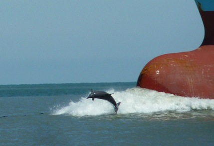 P1140006