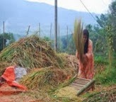 kehilangan produksi