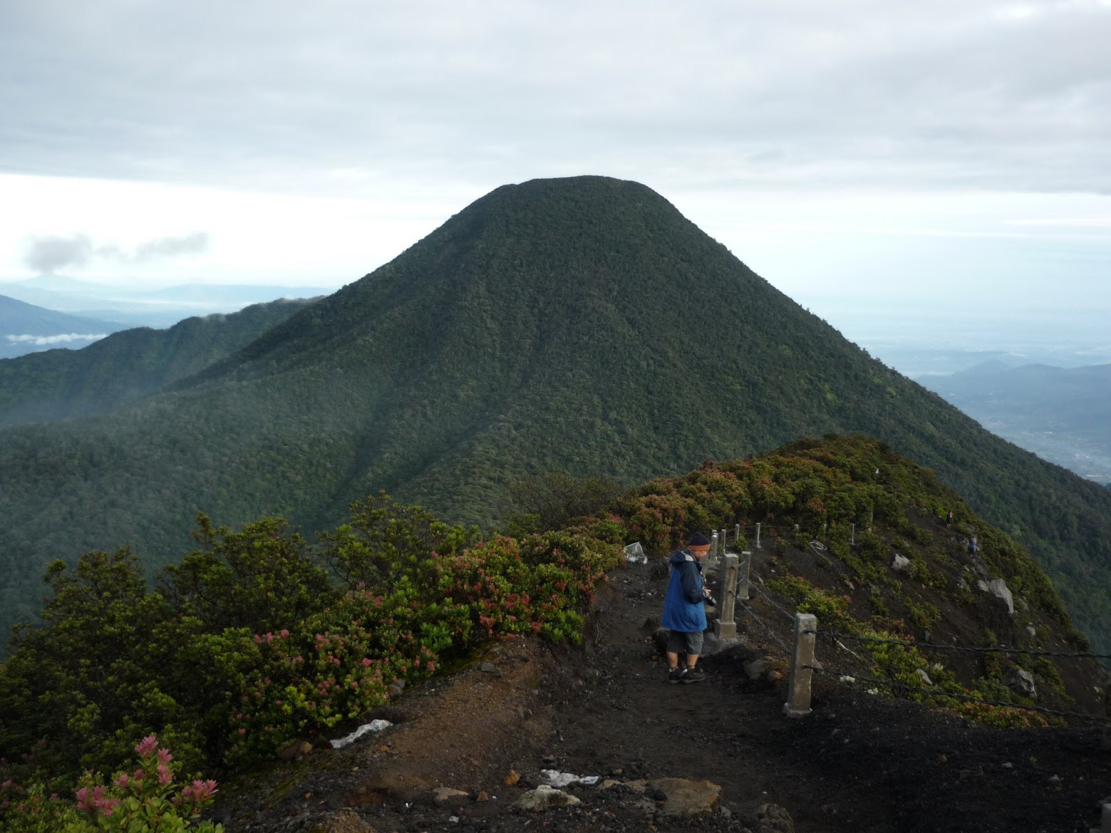 Setapak Kecil Gunung Gede Via Cibodas