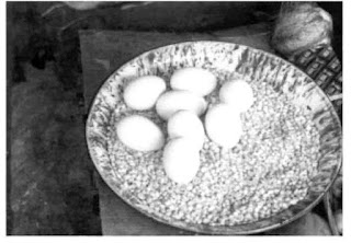 Goose eggs destined for market