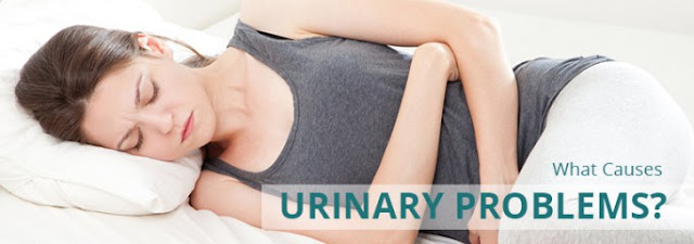 Ayurvedic Medicine For Urinary Problems 