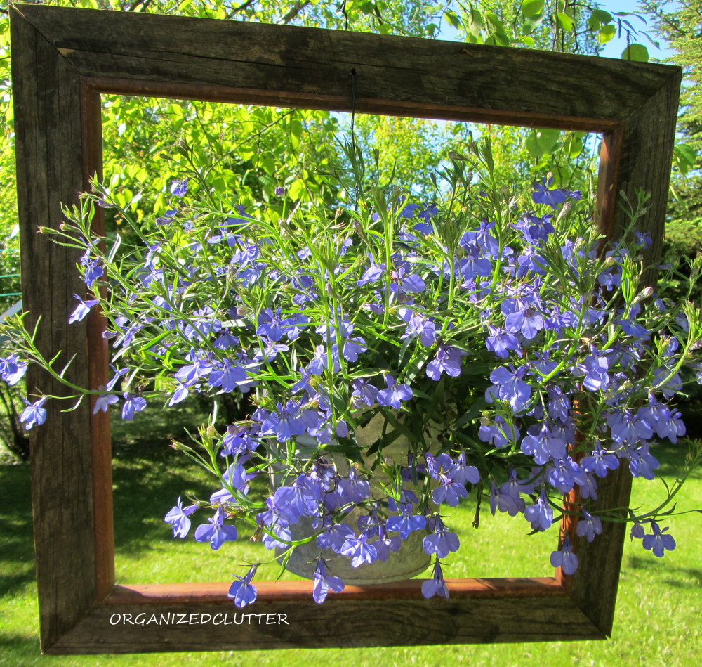 Organized Clutter: JUNK GARDENING